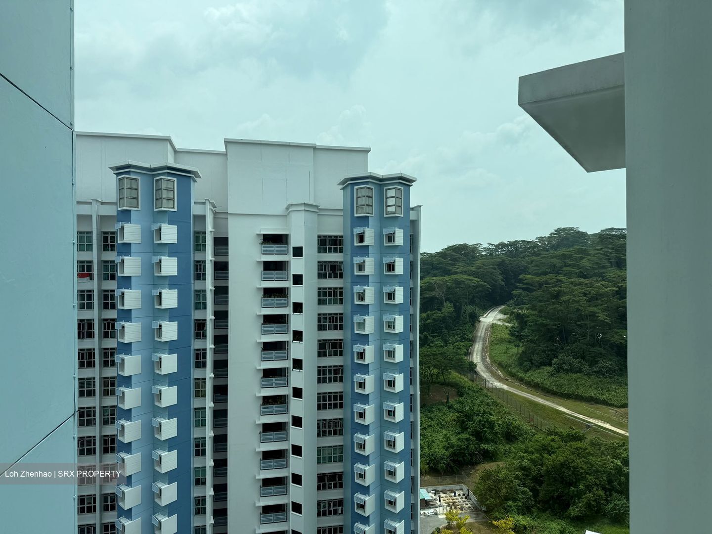 Blk 392 Goodview Gardens (Bukit Batok), HDB 4 Rooms #602715331